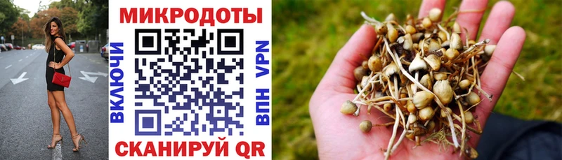 Галлюциногенные грибы Cubensis  Омск 